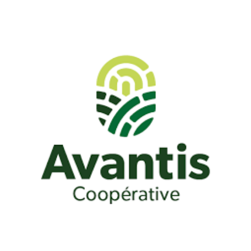 Logo 1