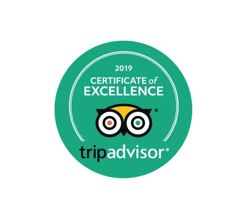 TripAdvisor