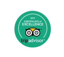 TripAdvisor