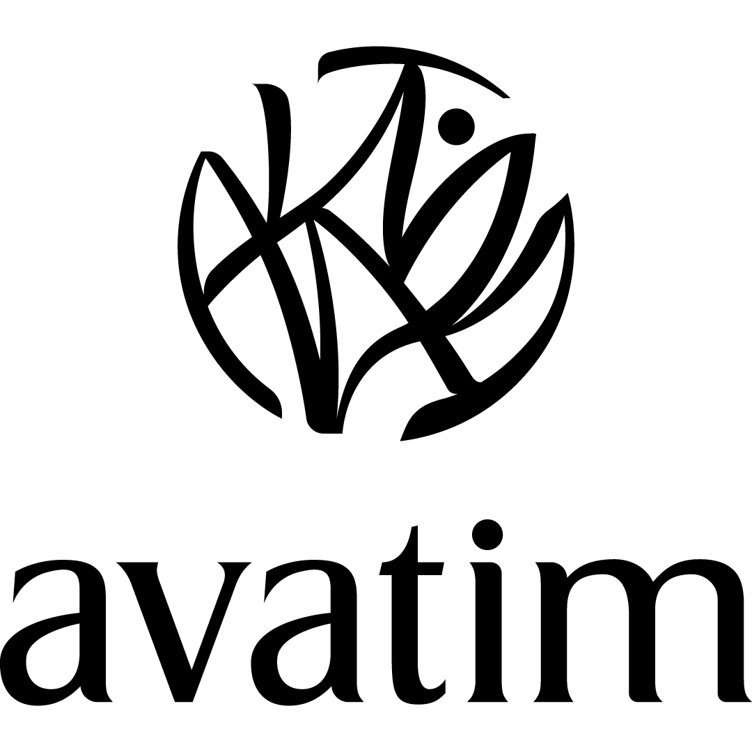 Posicionamento de marca e internacionalização de marca - Avatim