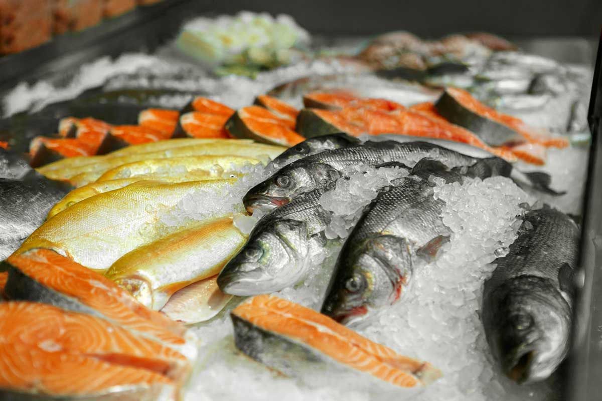 A Variety Of Fish Are Sitting On Top Of Ice – Columbus, OH – Columbus Fish & Seafood