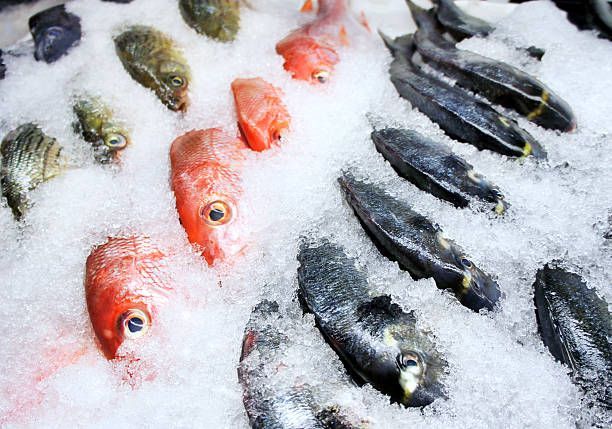 A Bunch Of Fish Are Sitting On Top Of Ice – Columbus, OH – Columbus Fish & Seafood