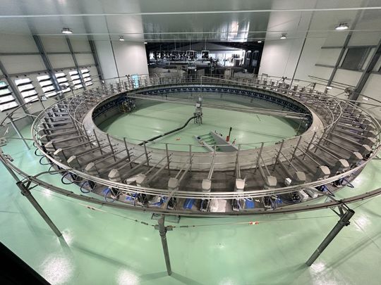 Pavimento del magazzino con attraversamento pedonale dipinto di arancione e segnaletica orizzontale su superfici bianche e verdi.