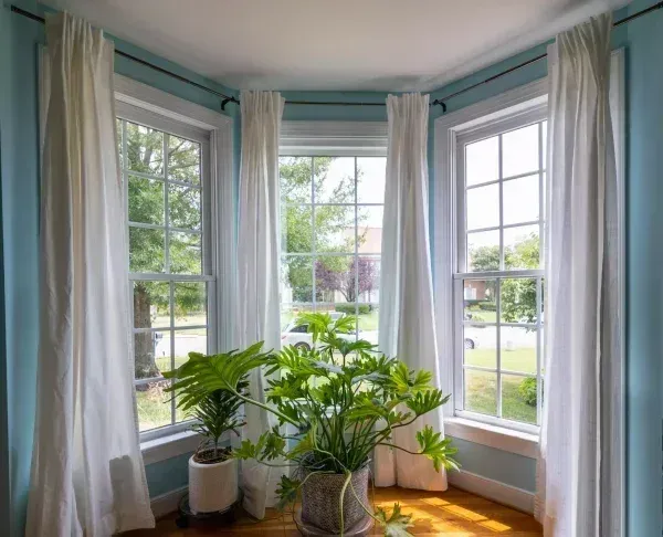 Three white-curtained windows in a bay configuration surround two potted green plants on a sunlit wooden floor.