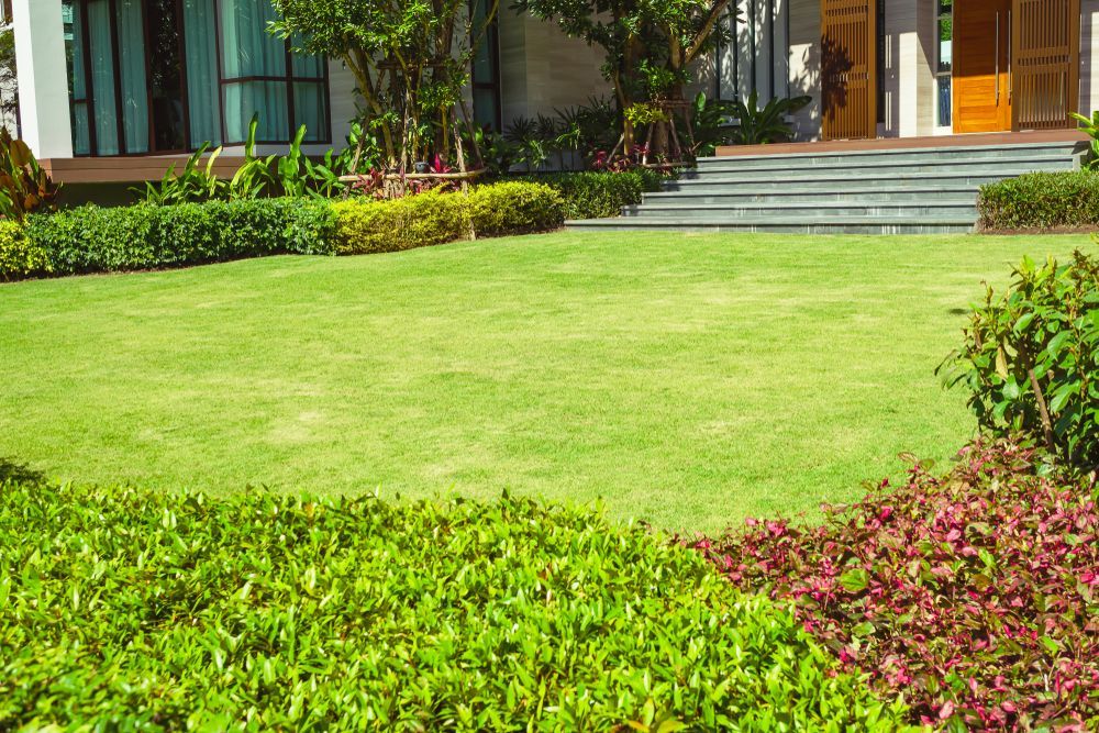 Green Grass, Modern House With Beautiful Landscaped Front Yard — D-Scapes Landscaping Services Pty Ltd in Taree, NSW