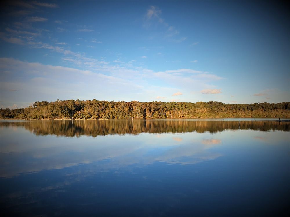 A Lake With Trees On The Shore And A Blue Sky — Tim Larkin Plumbing and Excavations in Laurieton, NSW