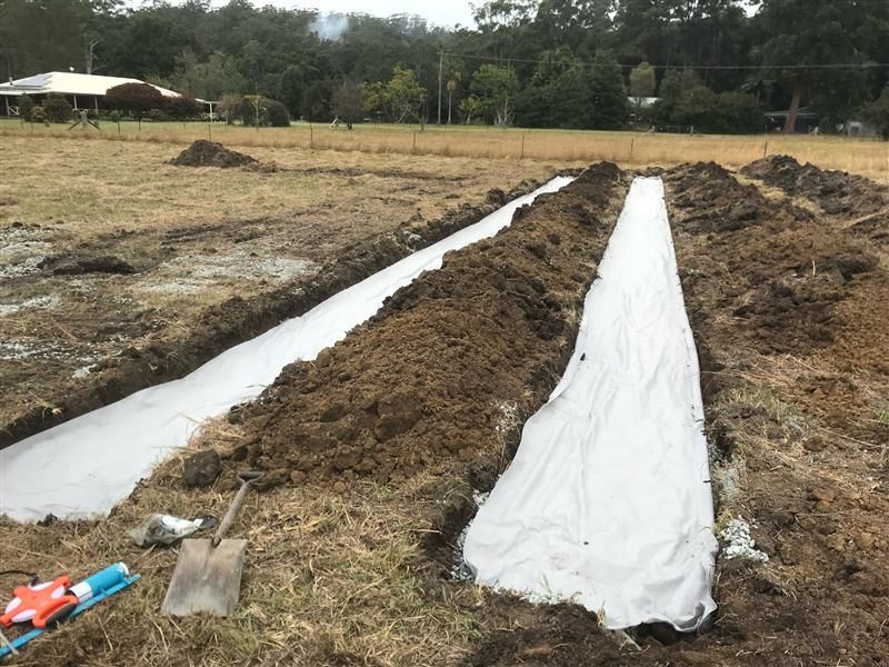Excavation Services  — Tim Larkin Plumbing and Excavations in Laurieton, NSW