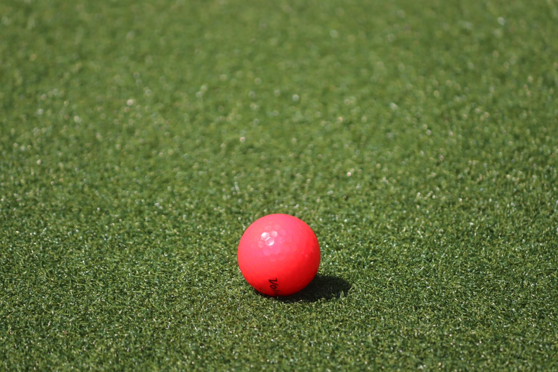 A golf ball sitting on top of a freshly installed backyard putting green