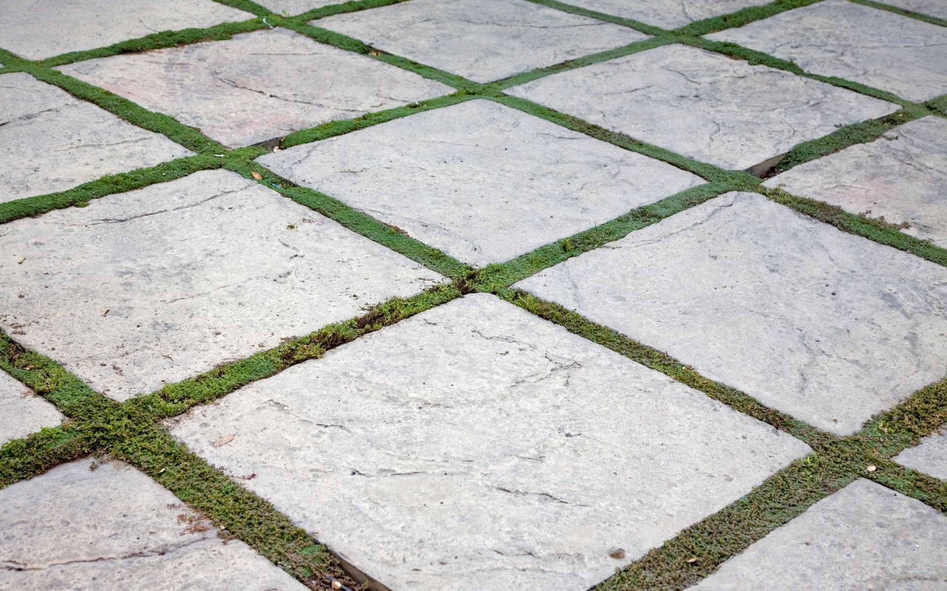 concrete pavers installed by Chandler Artificial Grass