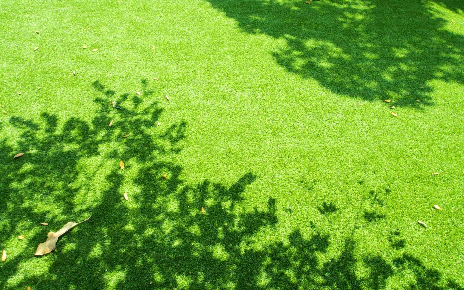 artificial grass lawn exposed to direct sunlight