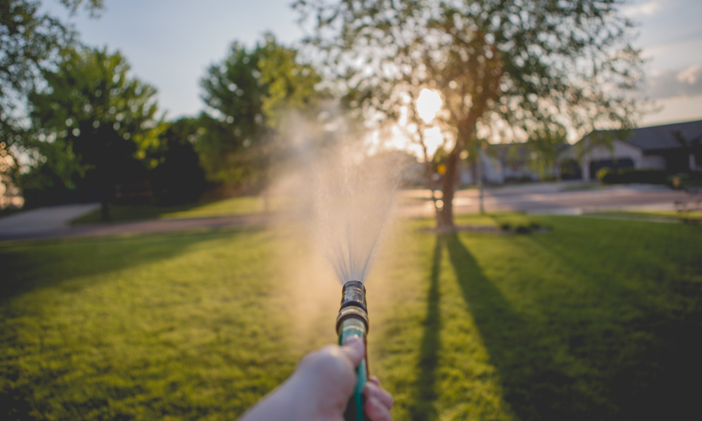 watering the lawn with a sprinkler hose