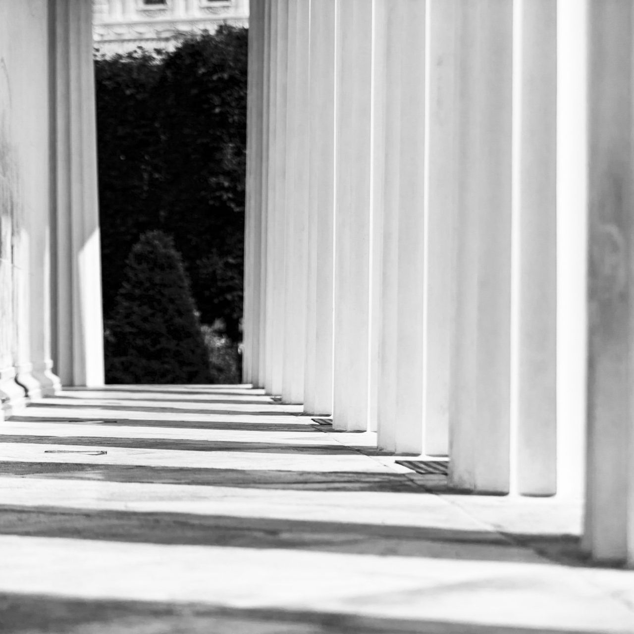 A black and white photo of a row of white columns.