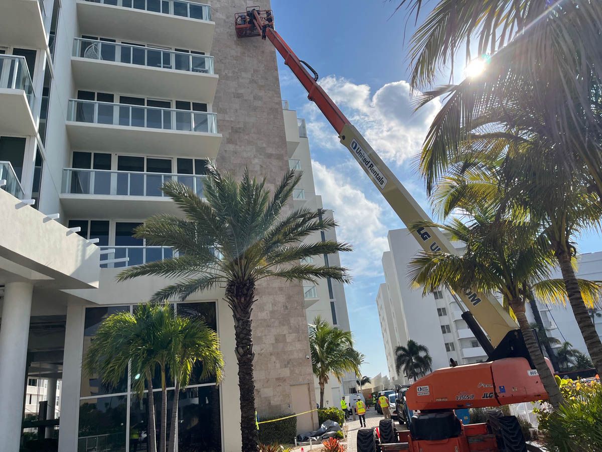 A crane is being used to clean a building with palm trees in the foreground.
