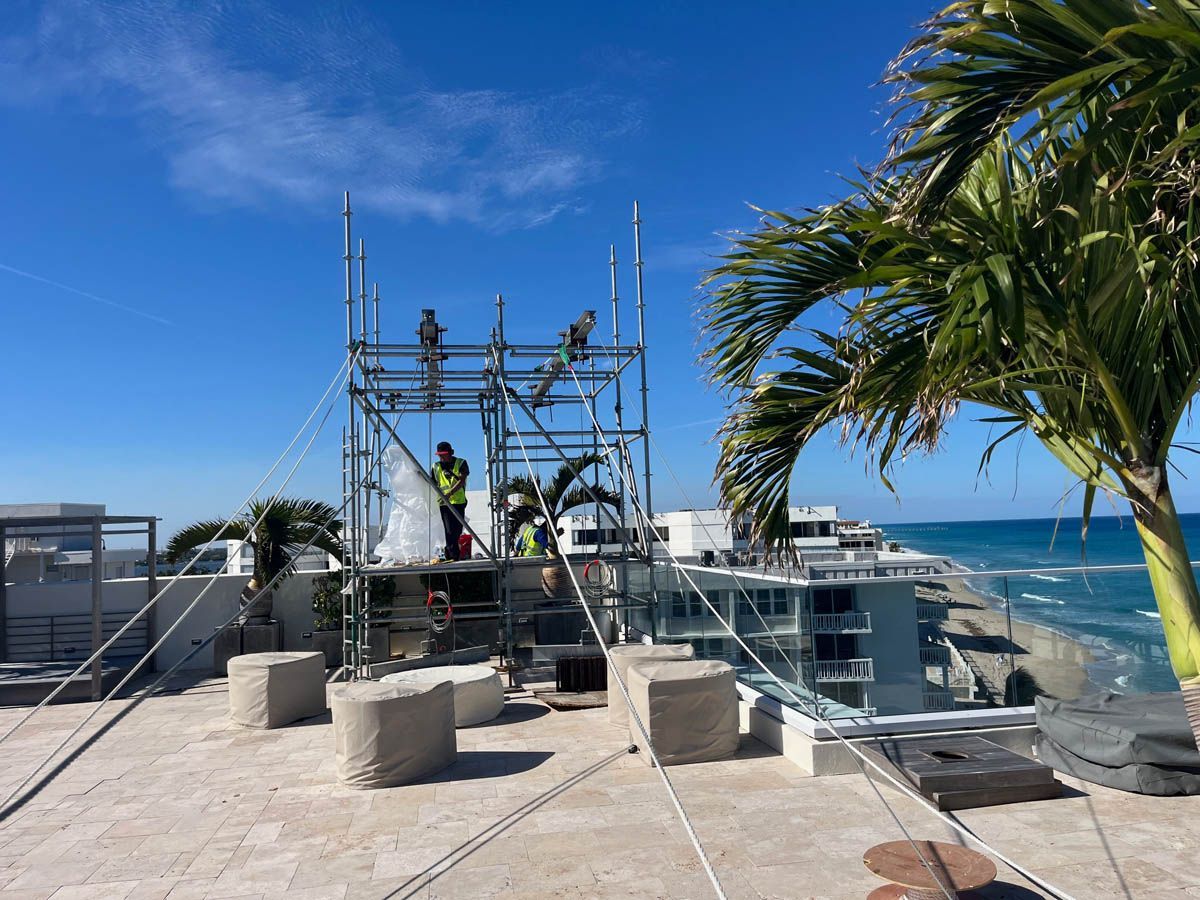 A group of people are standing on top of a roof next to a palm tree.