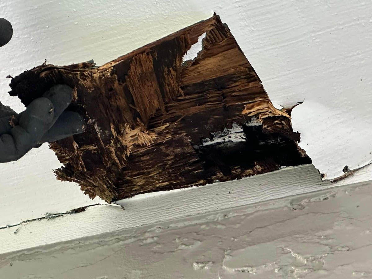 A person is holding a piece of wood on a white surface.