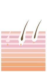 icona indebolimento peli tramite luce pulsata