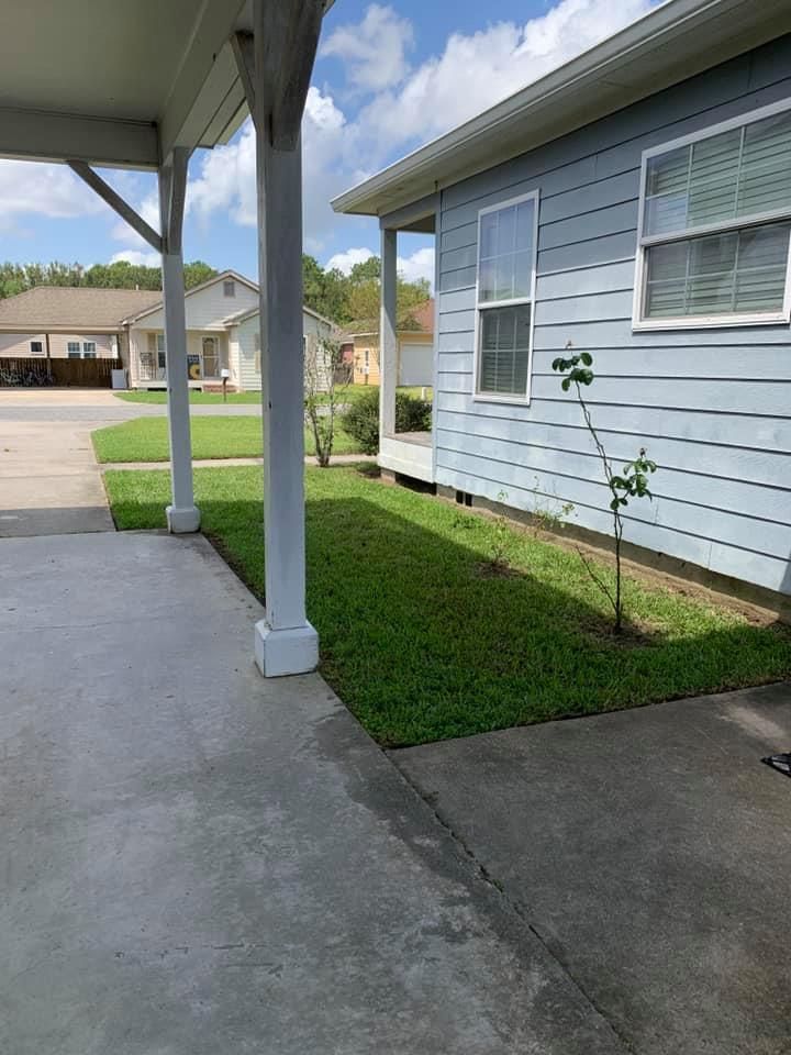 A concrete porch with white columns overlooks a side yard with green grass and a small sapling next to a light blue house.