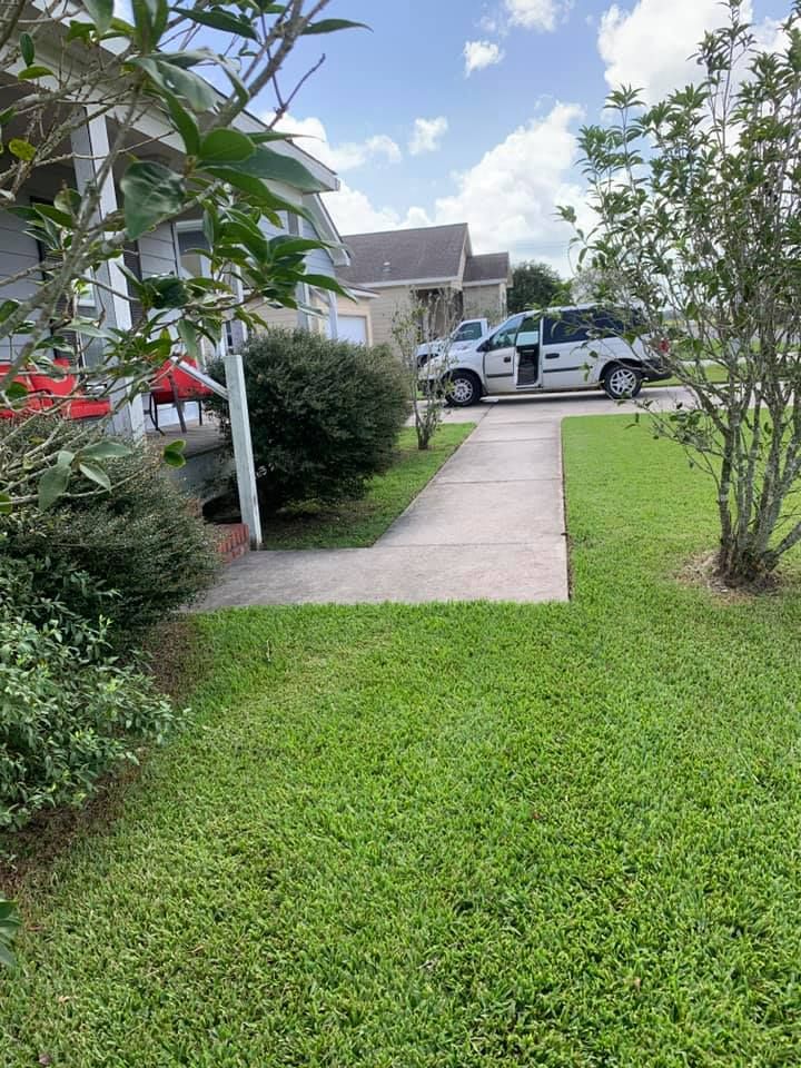 A concrete walkway leads past a leafy green bush toward a house with a silver SUV parked in the driveway.