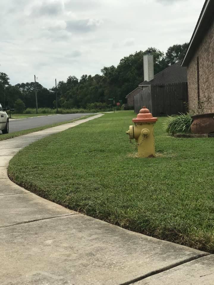 A bright yellow fire hydrant with an orange cap sits on a grassy lawn next to a concrete sidewalk in a residential area.