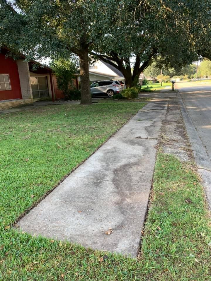 A weathered concrete sidewalk runs through a residential lawn, adjacent to a street and a tree-lined house.