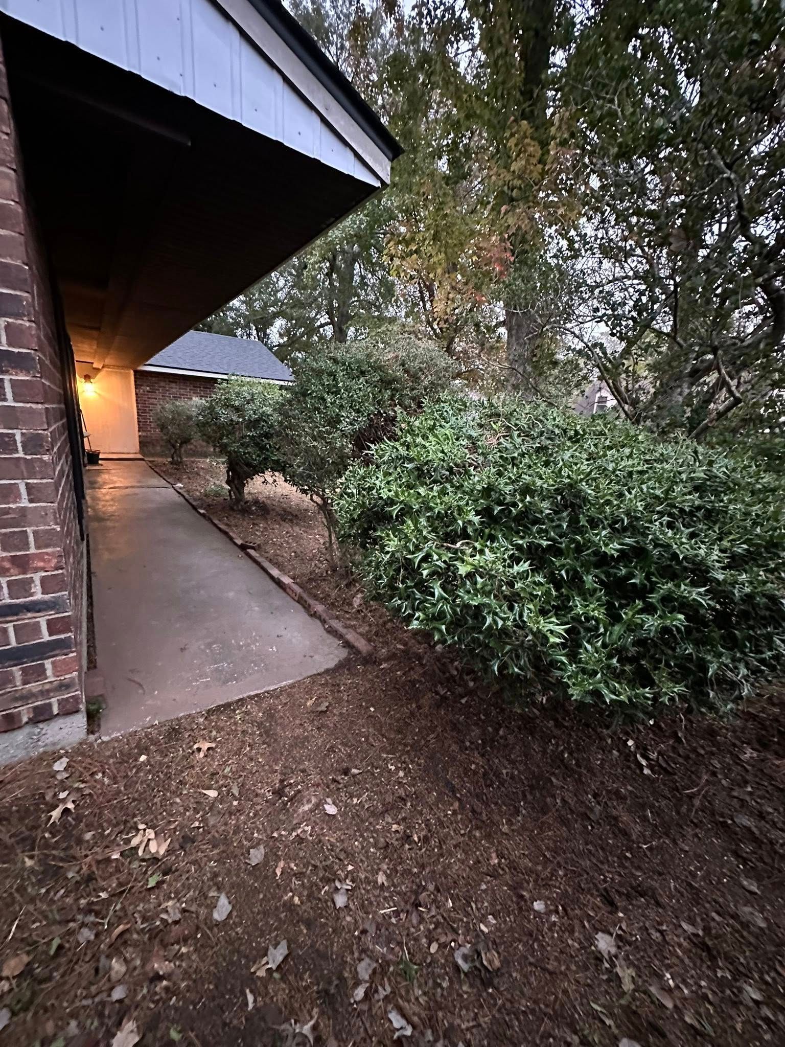 A concrete sidewalk leads toward a brick home entrance alongside a row of dark green bushes under a low-hanging roof.