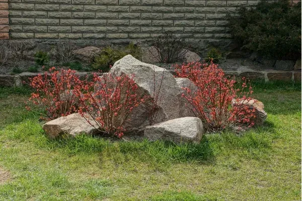 natural stone boulders landscape design rehoboth ma