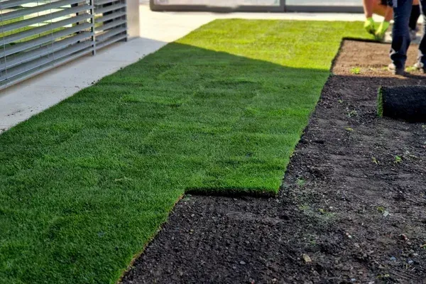sod installation benefits in rehoboth and dighton ma