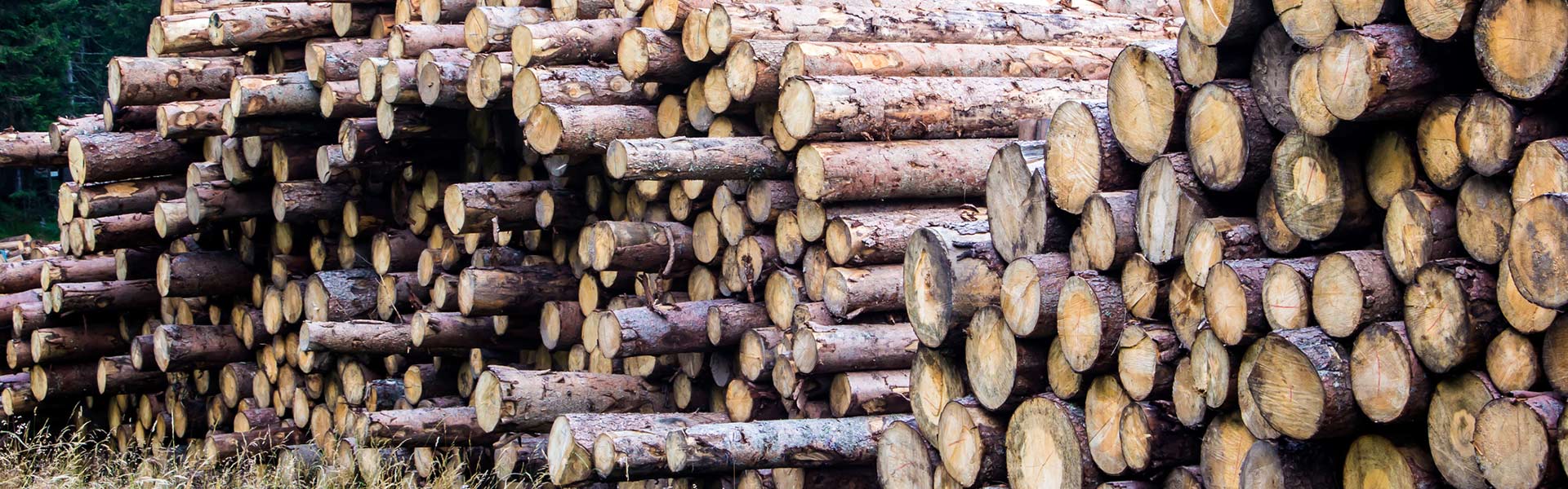 bunch of timber woods panther timber hardware bunch of timber woods