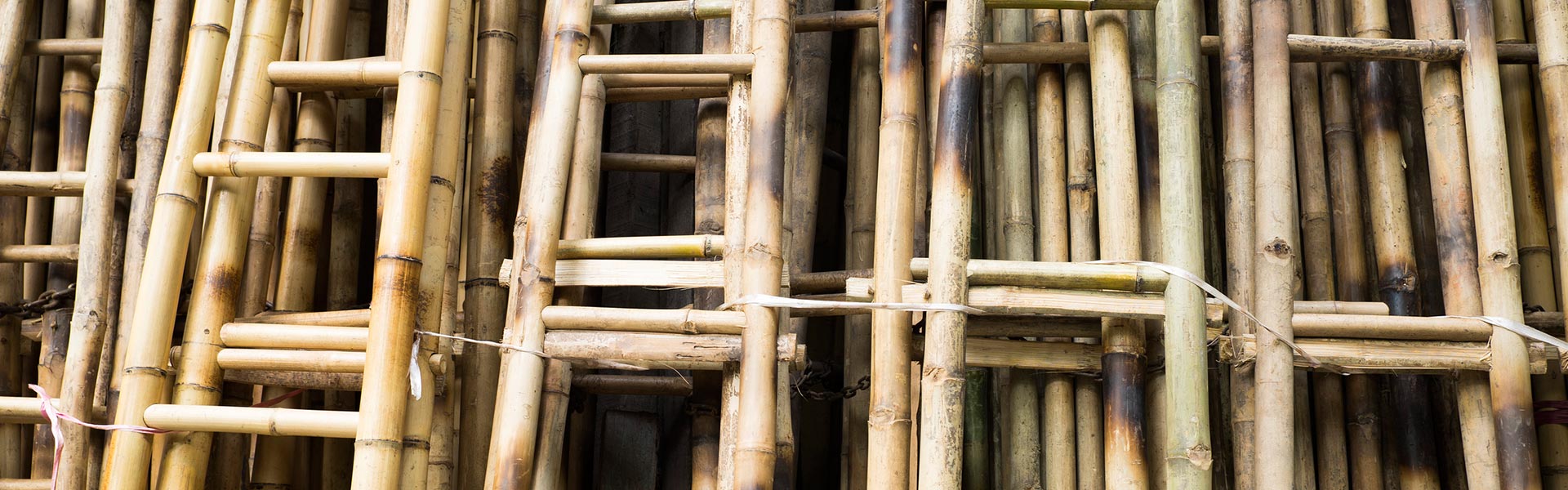 wooden ladders panther timber hardware wooden ladders