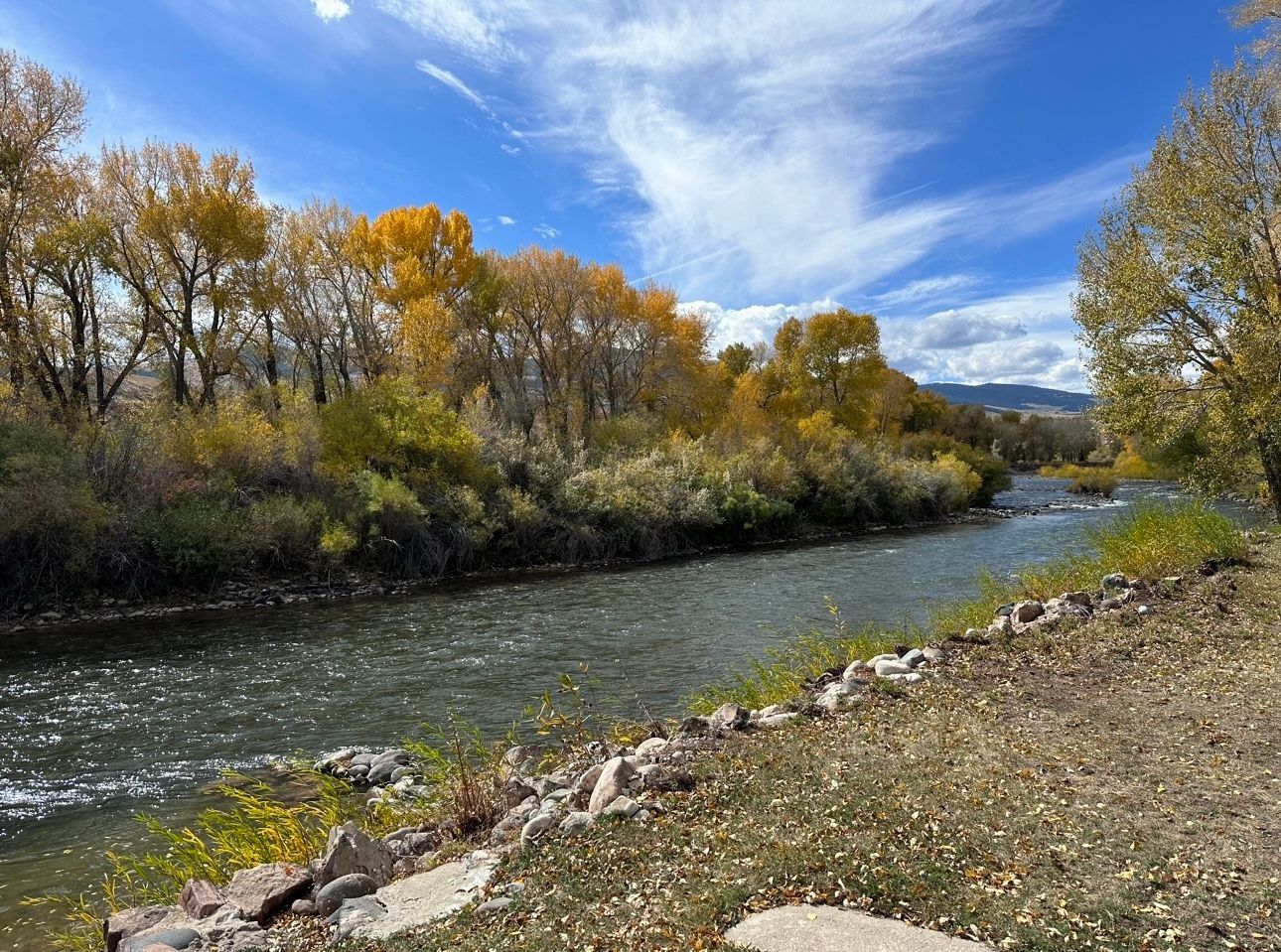 A river surrounded by trees and rocks on a sunny day.