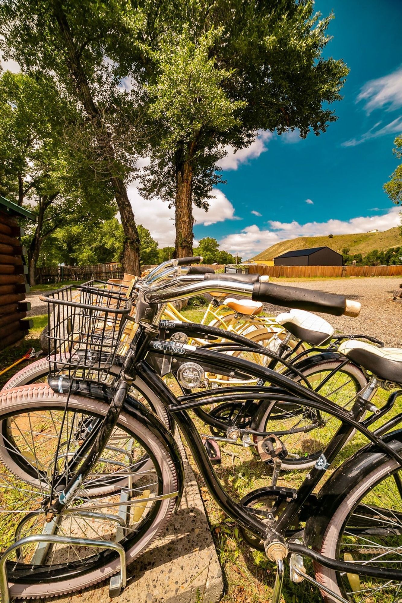 A row of bicycles are parked next to each other in a park.
