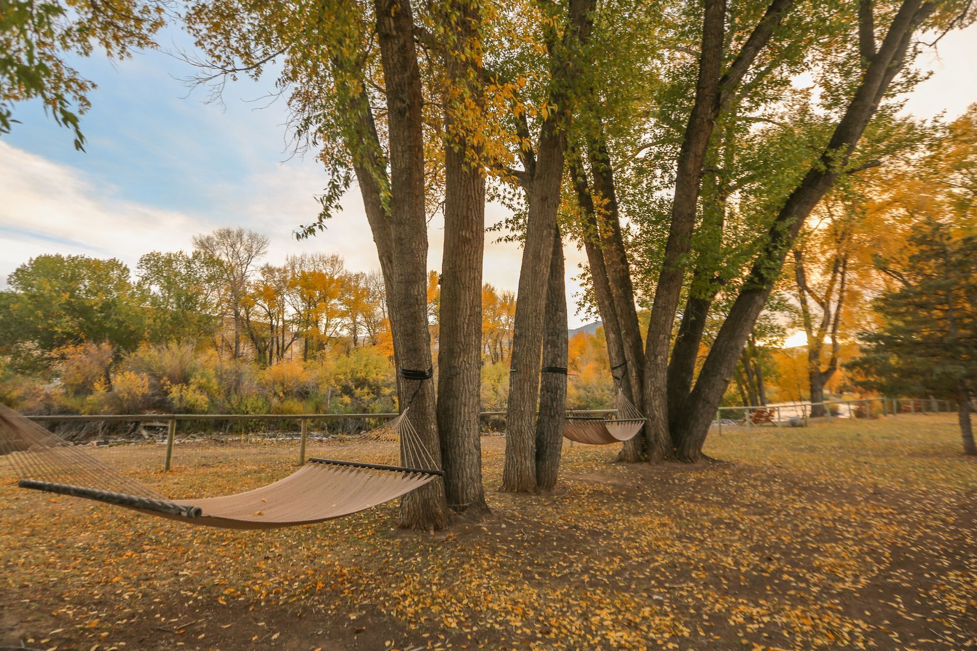 A hammock is hanging between two trees in a park.