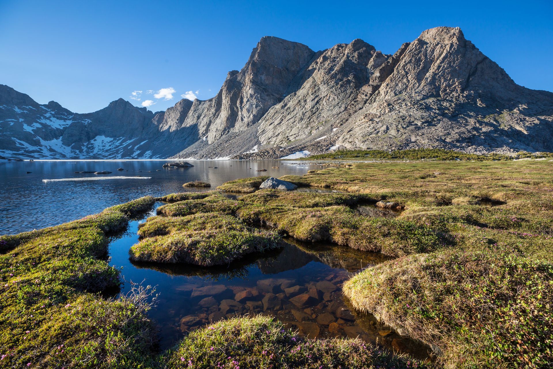 There is a lake in the middle of a grassy field with mountains in the background.