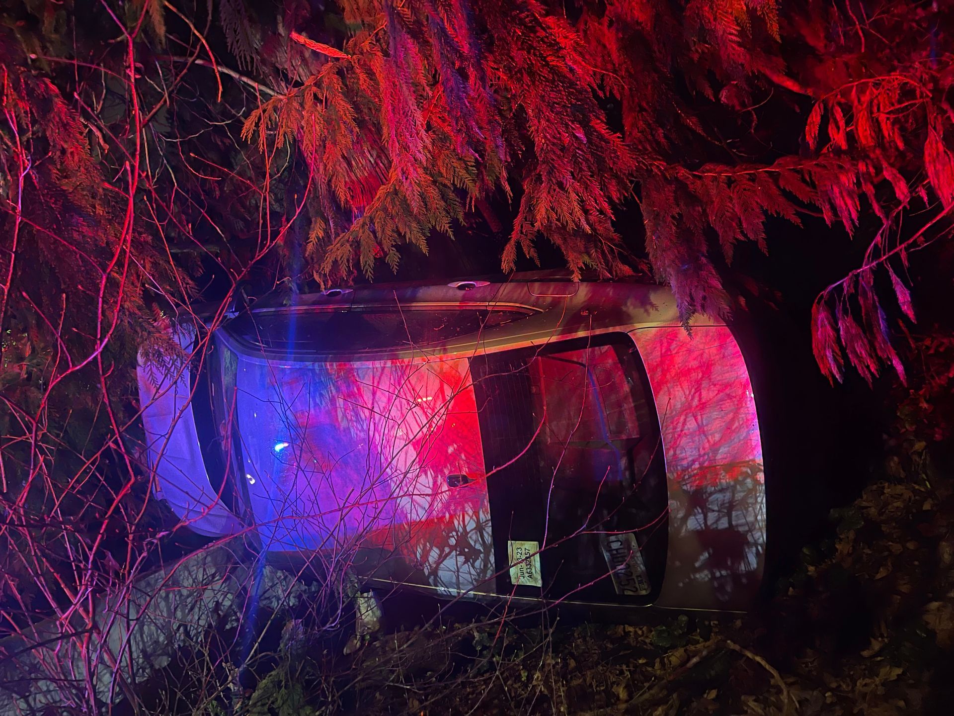 A car that has crashed into a tree at night.