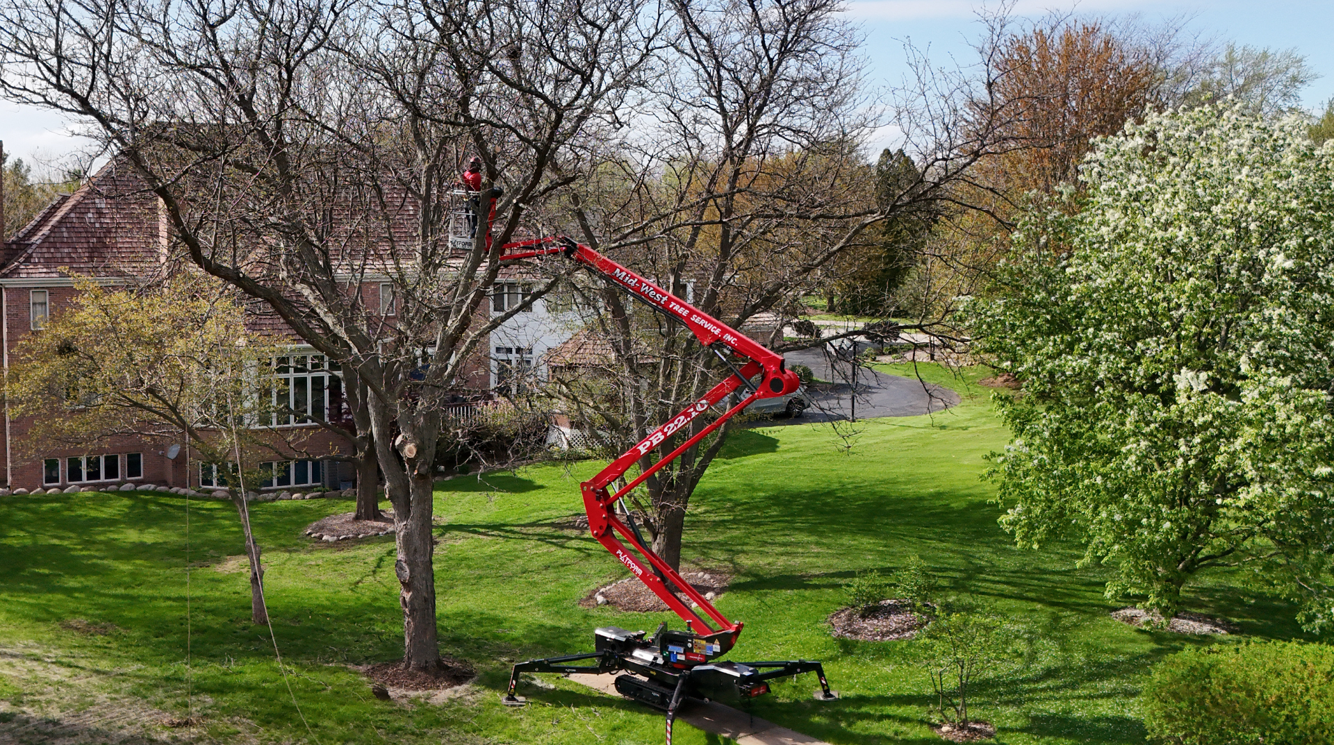 Tree Trimming, Removal & Stump Grinding | Mid-West Tree Experts Wauconda