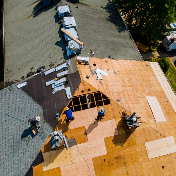 Roofers are working on a building, replacing the roof. 
