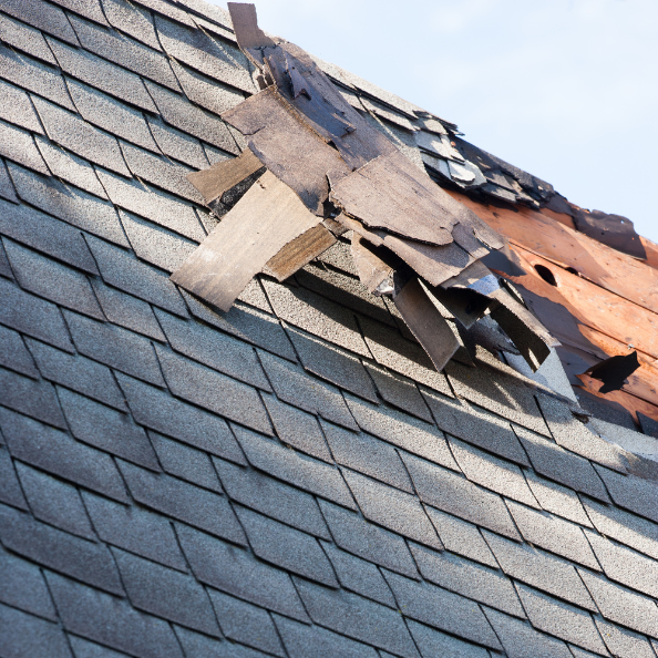 Damaged asphalt shingle roof, torn and missing shingles, exposing underlayment.