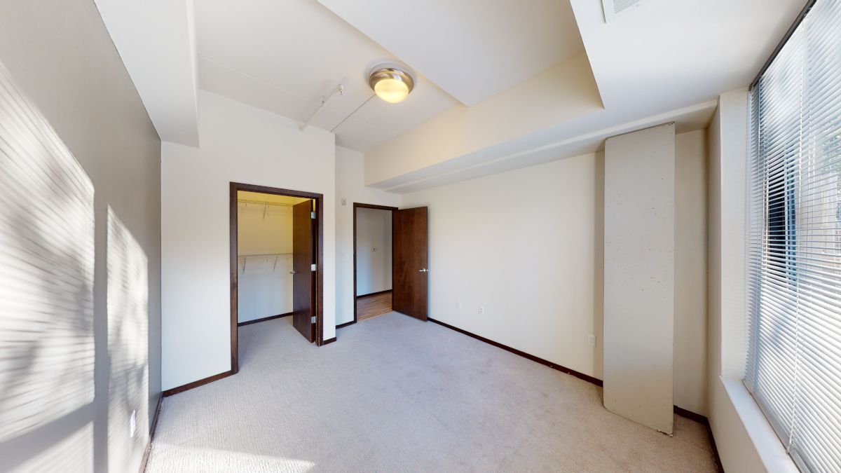 Empty bright room with beige carpet, white walls, a ceiling light, and large windows on the right.
