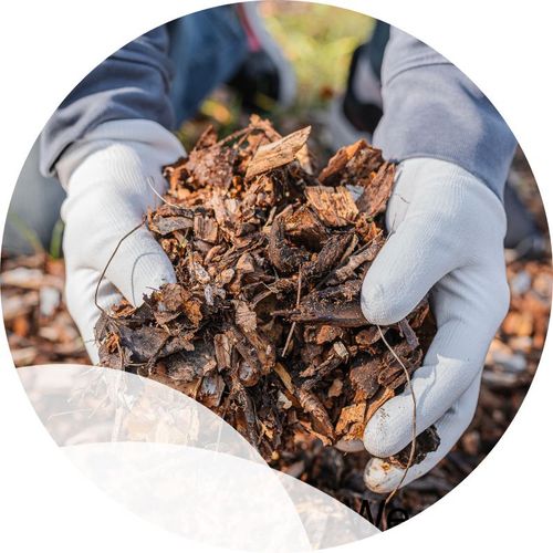 A person is holding a pile of mulch in their hands.