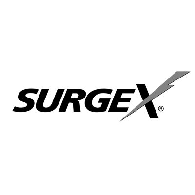 SurgeX power protection