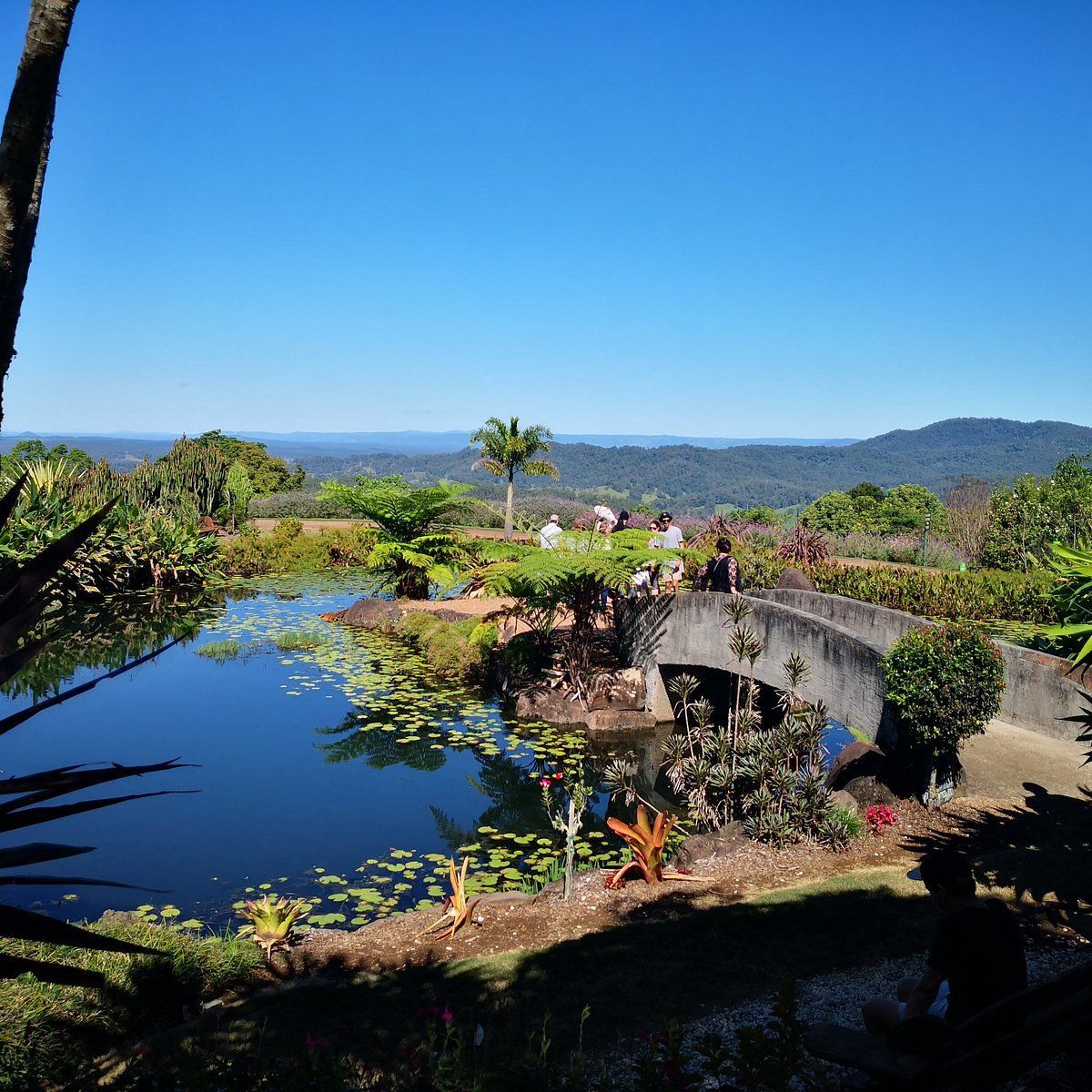 Redcliffe — Brisbane Antenna Specialists in Redcliffe, QLD