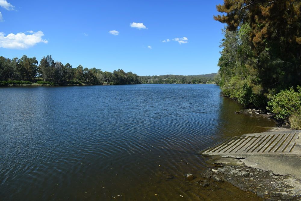 A large body of water surrounded by trees on a sunny day — Brisbane Antenna Specialists in Narangba, QLD