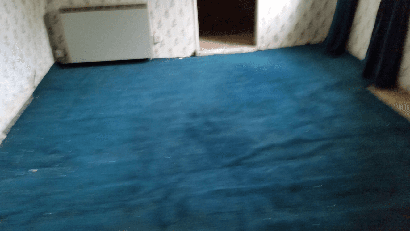 carpet
