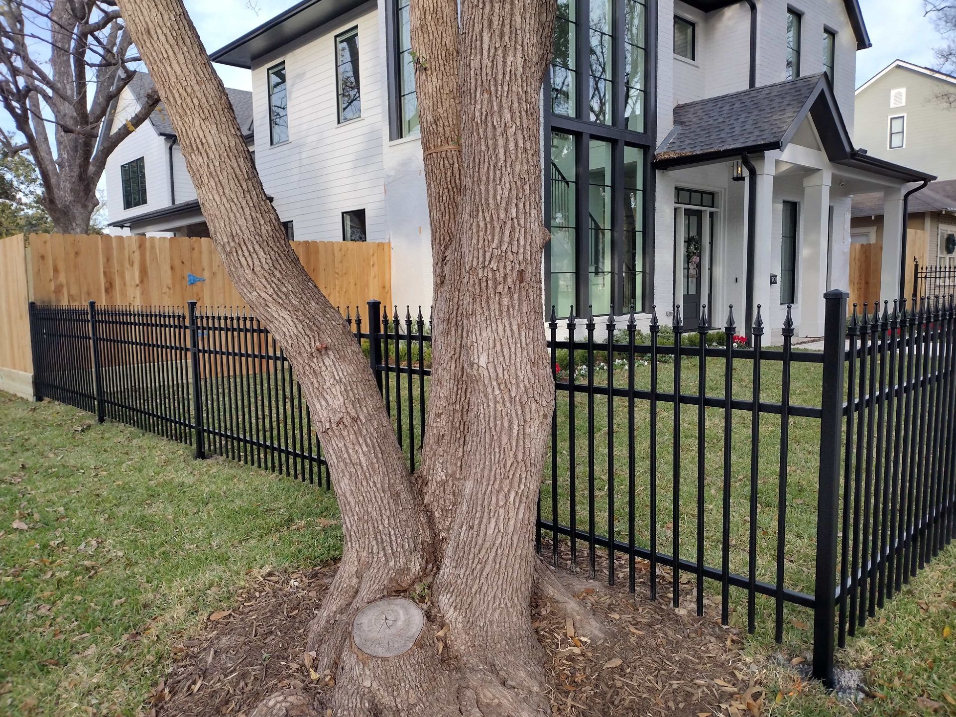 A Black Fence Surrounds a Tree in Front of A House - Houston, TX - Rio Grande Fence Company