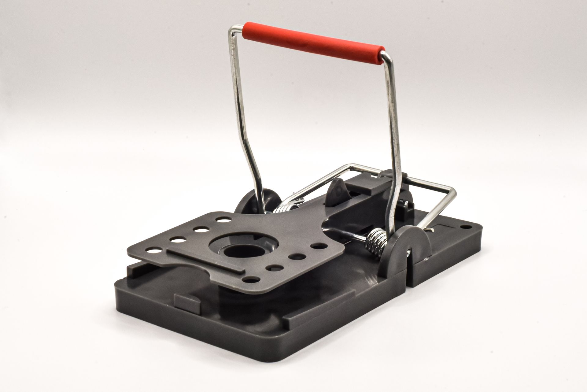 A mouse trap is sitting on the ground in the woods.