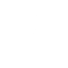 Experts Wigs Logo