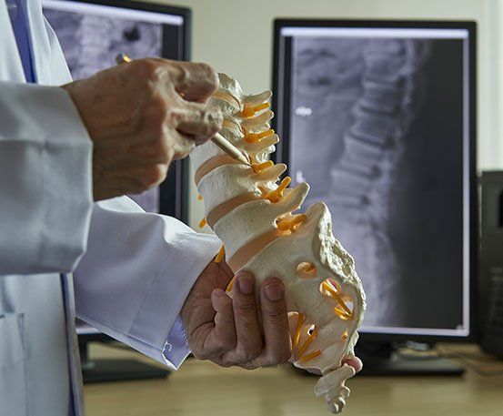 Spinal Cord Representation — Grapevine, Texas — Love Your Healthy Life