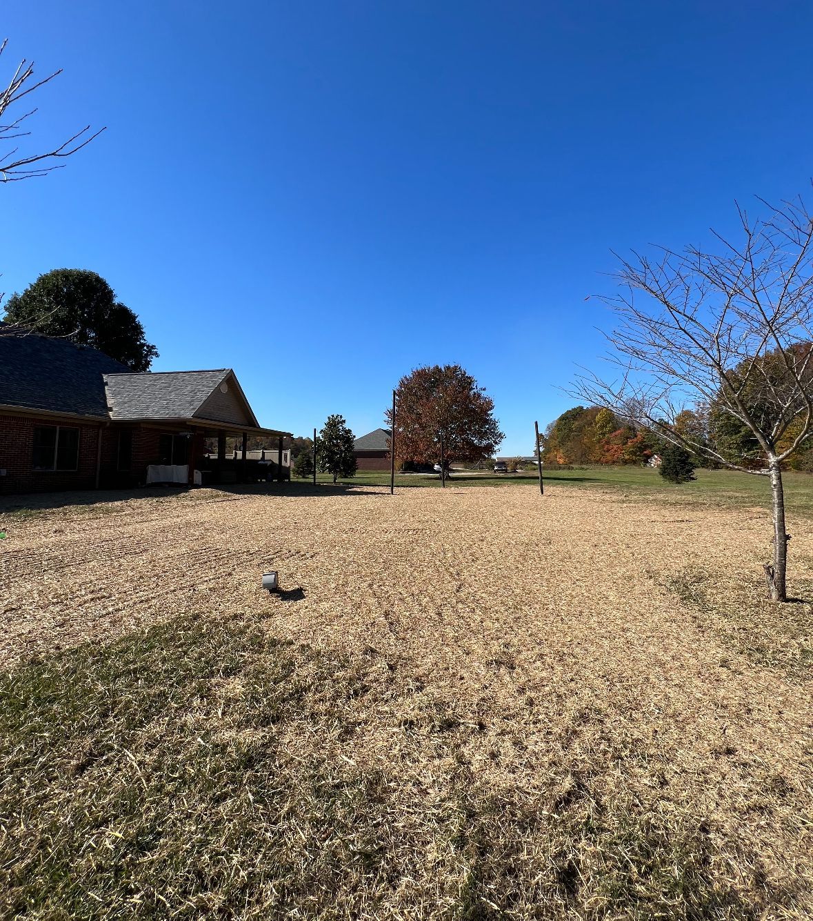 Yard | Scottsburg, IN | Babbs Land Management LLC