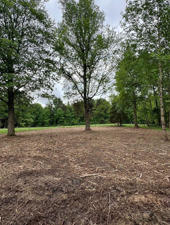 Forestry Mulching - Scottsburg, IN - Babbs Land Management LLC