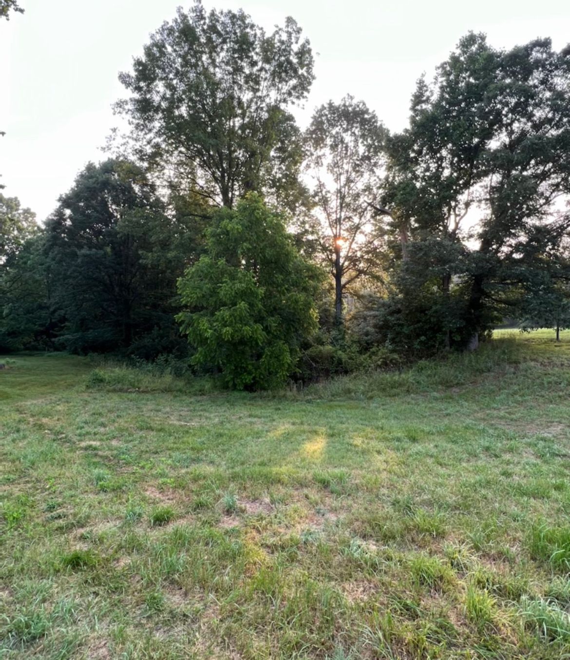 Clearing Land — Scottsburg, IN — Babbs Land Management LLC